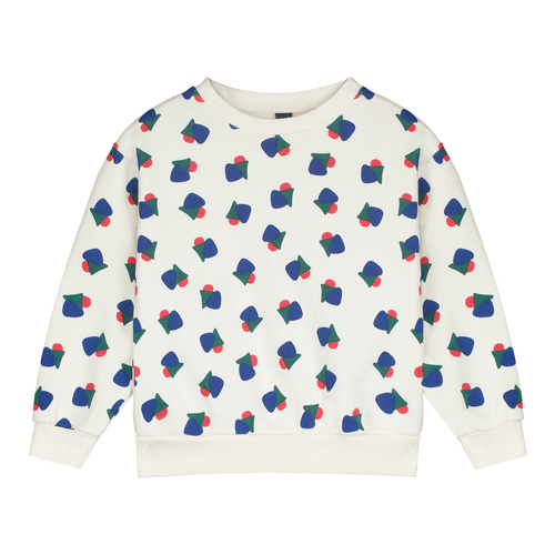 Bonmot / Sweatshirt / AO Maths / Fog