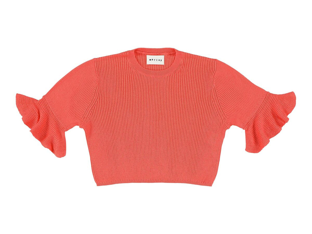 Morley / Clementine Knit / Waleska