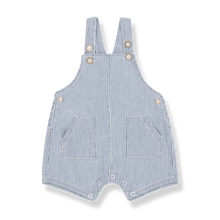 Load image into Gallery viewer, 1+ In The Family / Dungaree / Talaies