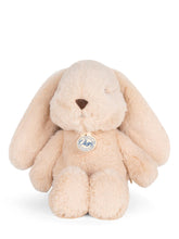 Load image into Gallery viewer, Bon Ton Toys / Chaps Bubbles Bunny Biscuit