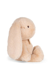 Load image into Gallery viewer, Bon Ton Toys / Chaps Bubbles Bunny Biscuit
