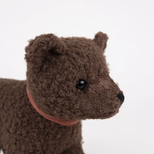 Load image into Gallery viewer, Egmont Toys / Pull-Along Raoul