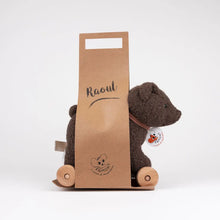 Load image into Gallery viewer, Egmont Toys / Pull-Along Raoul