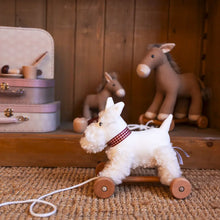 Load image into Gallery viewer, Egmont Toys / Pull-Along Lola