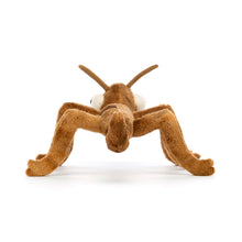 Load image into Gallery viewer, Jellycat / Stanley Stick Insect