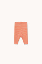 Load image into Gallery viewer, Tinycottons / BABY / Rib Pant / Stripes