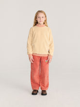 Load image into Gallery viewer, Bobo Choses / KID / Velvet Sweatshirt / Taxi Saurus