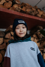 Load image into Gallery viewer, Cos I Said So / KID /  Hoodie / Color Block