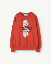Load image into Gallery viewer, The Animals Observatory / Christmas / KID / Big Bear Sweatshirt / Red