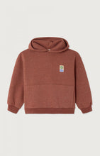 Load image into Gallery viewer, Brown hoodie with a small logo on the chest against a white background