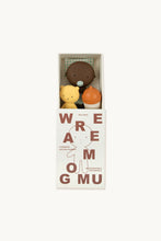 Load image into Gallery viewer, We Are Gommu / Pocket / Honey