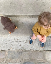 Load image into Gallery viewer, Egmont Toys / Pull-Along Raoul