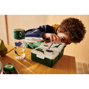 Liewood / Dinosaurs / Driss Lunchbox Mist