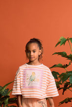 Load image into Gallery viewer, Maison Mangostan / Crop Top / Birds Striped