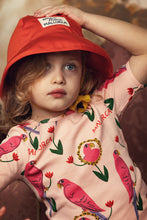 Load image into Gallery viewer, Mini Rodini / PRE AW24 / Dress / Parrots
