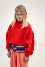 Load image into Gallery viewer, Repose AMS / Turtleneck / Multi Stripe