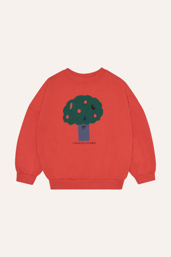 The Campamento / KID / Sweater / Big Tree