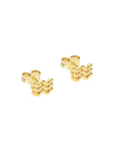 Load image into Gallery viewer, Selva Sauvage / Earring Stud / Wave / Gold