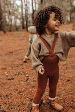 Load image into Gallery viewer, Silly Silas / Warmy Footless Tights / Cinnamon