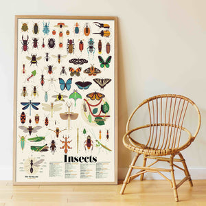 Poppik / Discovery Poster / Insects