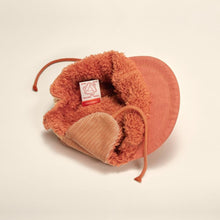 Load image into Gallery viewer, New Kids In The House / Cap / Pet / Robin Vintage Sienna