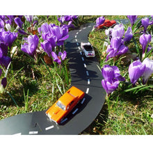 Load image into Gallery viewer, Waytoplay / Flexibele autobaan / Snelweg - Highway (24-delig)