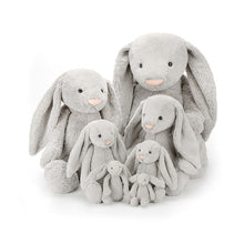 Load image into Gallery viewer, Jellycat / Bashful Bunny Silver / Medium