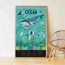 Load image into Gallery viewer, Poppik / Discovery Poster / Oceans
