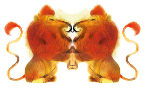 Children's Books / Raar